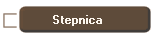 Stepnica