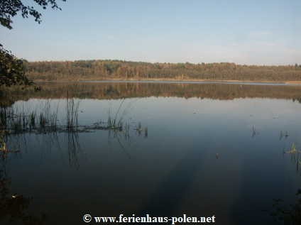 Ferienhaus Polen-Ferienhaus Alfa in Warnowo nhe Miedzyzdroje (Misdroy) an der Ostsee/Polen