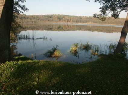 Ferienhaus Polen-Ferienhaus Alfa in Warnowo nhe Miedzyzdroje (Misdroy) an der Ostsee/Polen