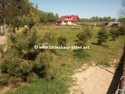 Ferienhaus Polen - Ferienhaus Warnowo an der Ostssee