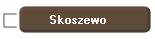 Skoszewo