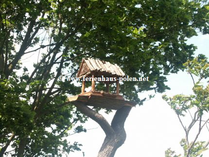 Ferienhaus Polen - Haus der Malerin in Wicko nahe Miedzyzdroje (Misdroy)/Polen