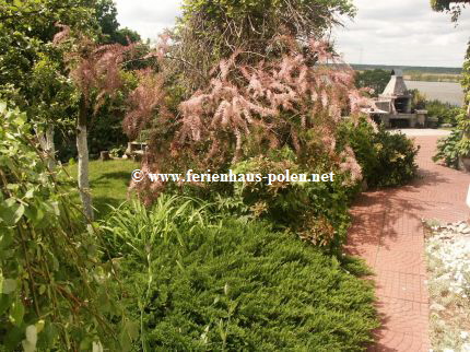 Ferienhaus Polen - Haus der Malerin in Wicko nahe Miedzyzdroje (Misdroy)/Polen
