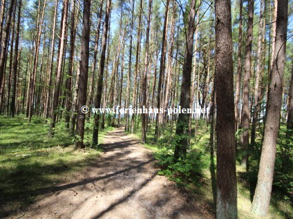 Ferienhaus Polen - Ferienhaus Berghtte in Wiselka nhe Miedzyzdroje / Misdroy an der Ostsee/ Polen