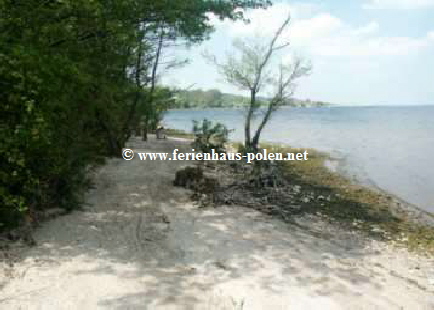 Ferienhaus Polen - Ferienhaus Samun a  am Zarnowieckie-See nahe Gdansk (Danzig) an der Ostsee/ Polen
