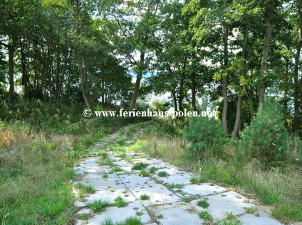 Ferienhaus Polen - Ferienhaus Margo am Zarnowieckie-See nahe Danzig (Gdansk) an der Ostsee/Polen