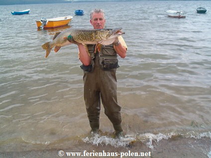 Ferienhaus Polen-Ferienhaus Marui in  Lubkowo an dem Zarnowieckie-See nhe Danzig (Gdansk) an der Ostsee/Polen