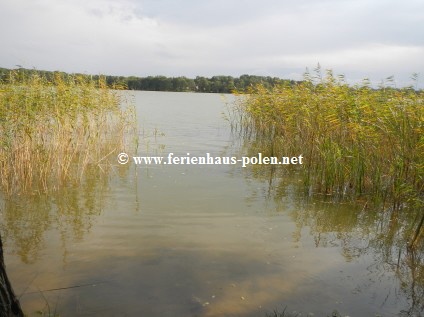 Ferienhaus Polen - Ferienhaus Kami am Wiselka-See nahe Ostsee/Polen