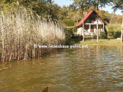 Ferienhaus Polen - Ferienhaus Levante in Zolwino an der Ostsee / Polen