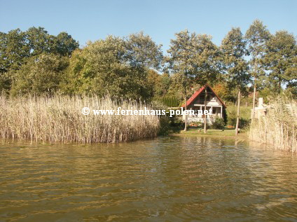 Ferienhaus Polen - Ferienhaus Levante in Zolwino an der Ostsee / Polen